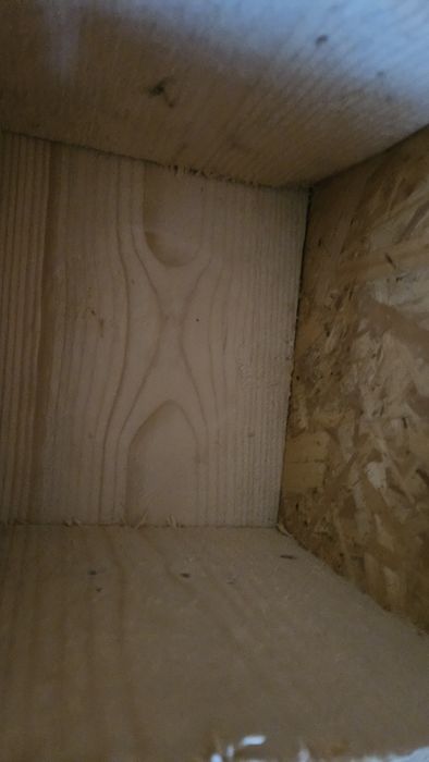 Vând cuibare pentru papagali