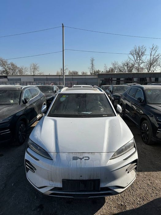 BYD Chempion 605 km oq rangli 2025yil restaing Toshkentda tayyor