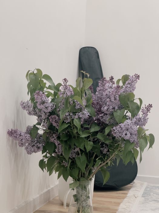 Сирен сатам бугн жулынған