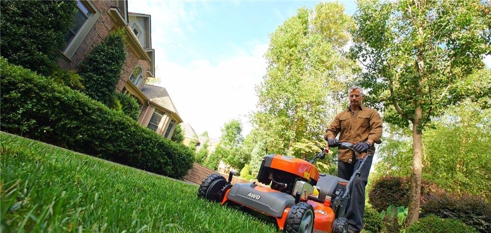 Косене на трева,подкастряне на дървета.Цените са по договаряне !!!