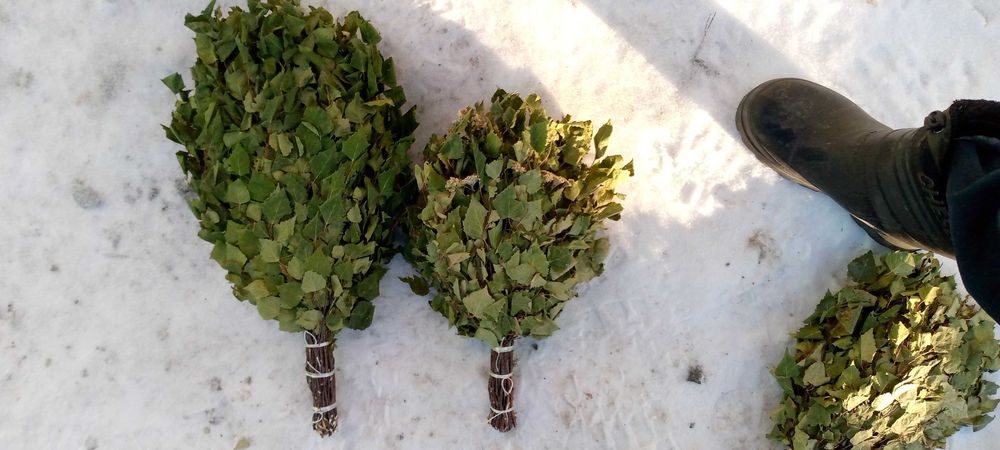 Веники березовые