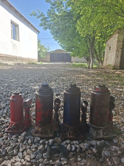 Донкрат Дамкрат на газель