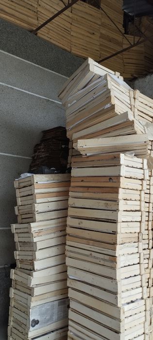 Roziviy pomidor Yashikchalari sotiladi 3 000 soʻm.