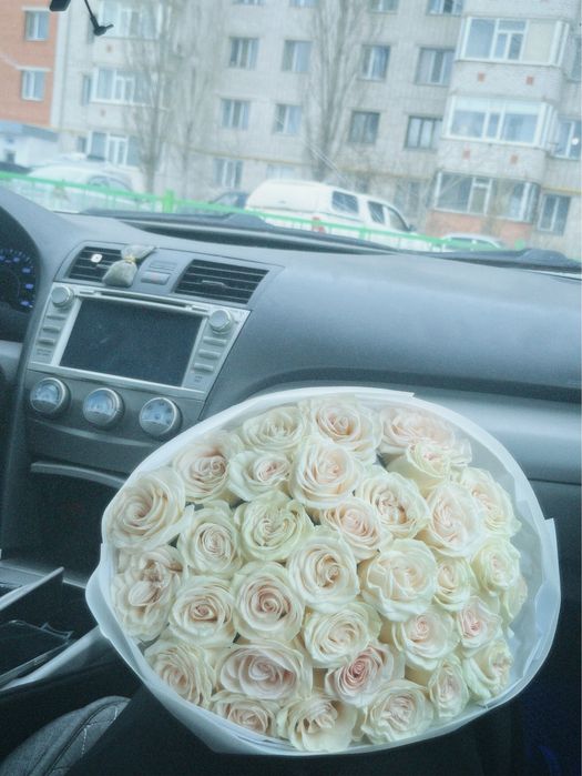 Роза 32 шт свежий