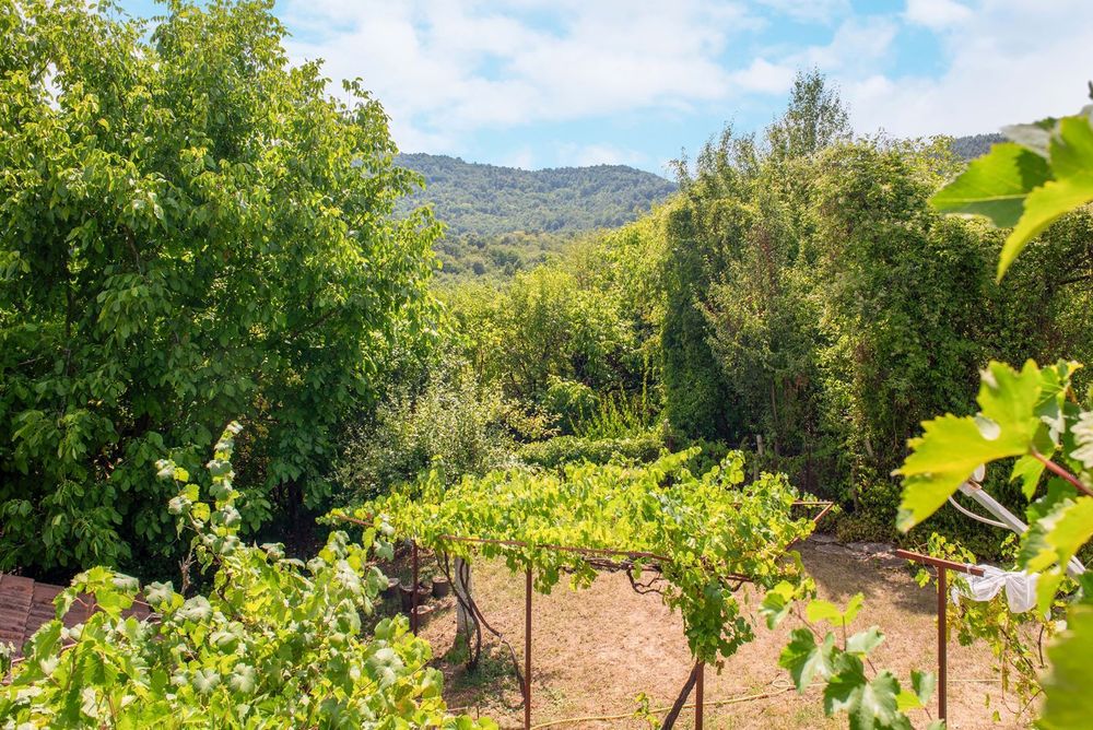 Продава се Къща в с. Типченица, Област Враца - 194 кв.м за 181 €/кв.м - Снимка #7