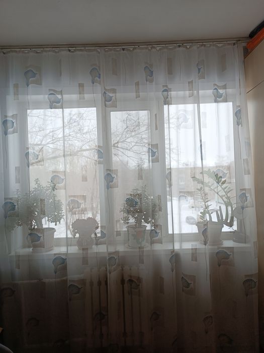 Тюль 5м*2,5 цена 3000тг