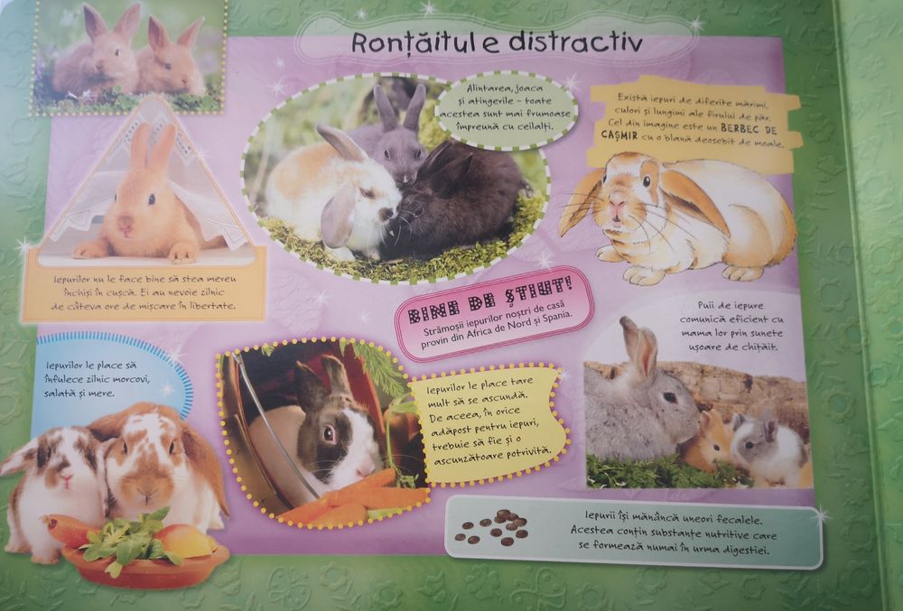 Carte puzzle animale domestice, cartonata, cai, câini, NOI