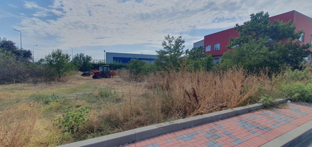 Curatare vegetatie, Salubrizare Igienizare, Defrisare Tocare crengi