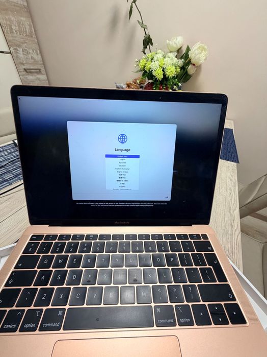 MacBook Air 13 129 GB rose gold