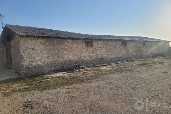 Molxona binosi sotiladi