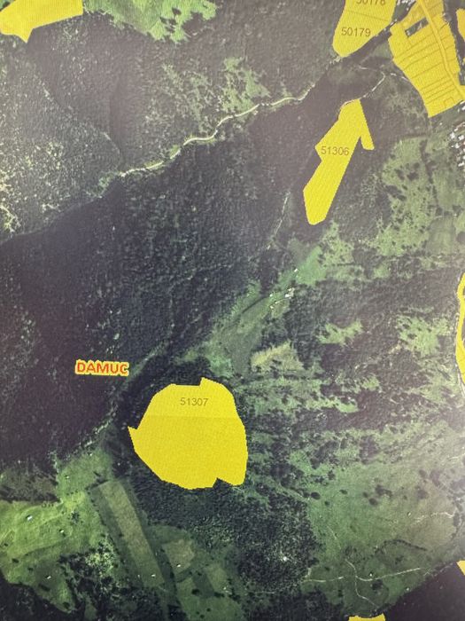 Vand padure 10 ha Damuc