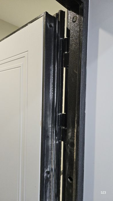 Дверь входная STR