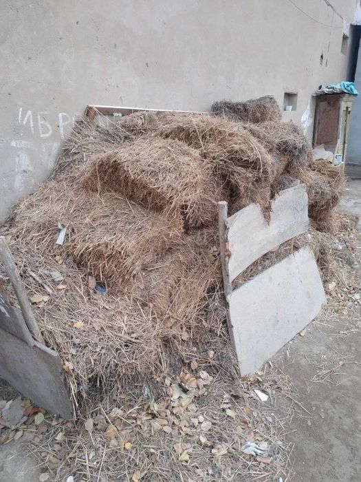 Jońishqa  Press Satiladi!