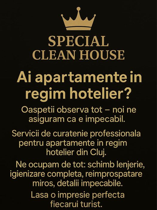 Curatenie profesionala