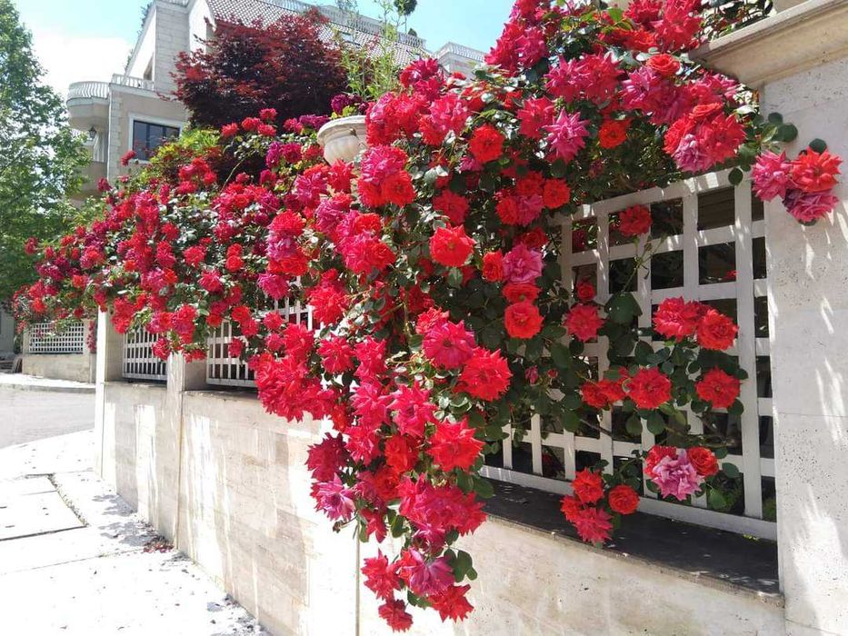 Продава се Четиристаен апартамент в София, Витоша - 171 кв.м за 2094 €/кв.м - Снимка #1