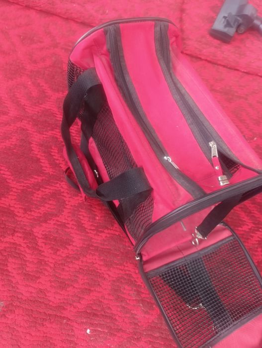 Рюкзак для кошек