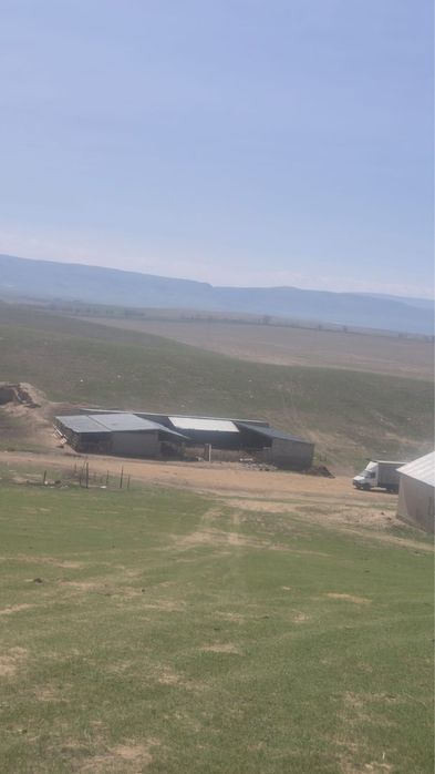 Продам фазенду 100 гектара