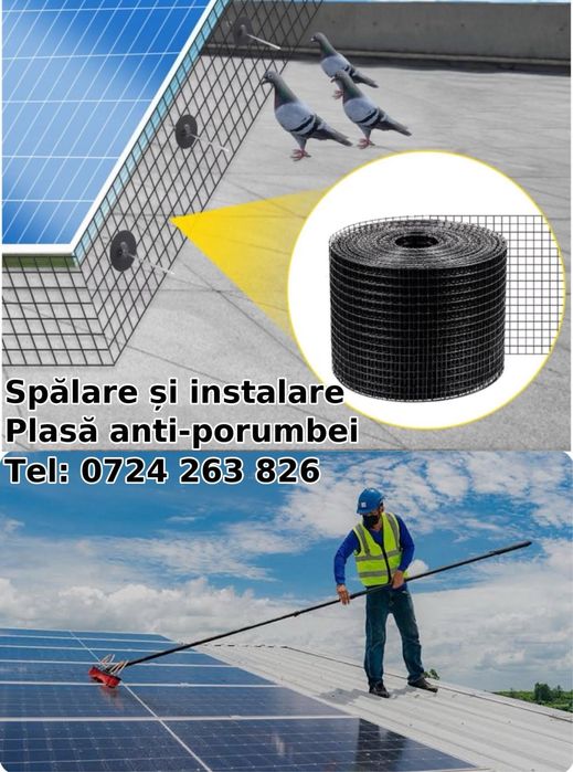 Instalez plasa anti pasari panouri solare