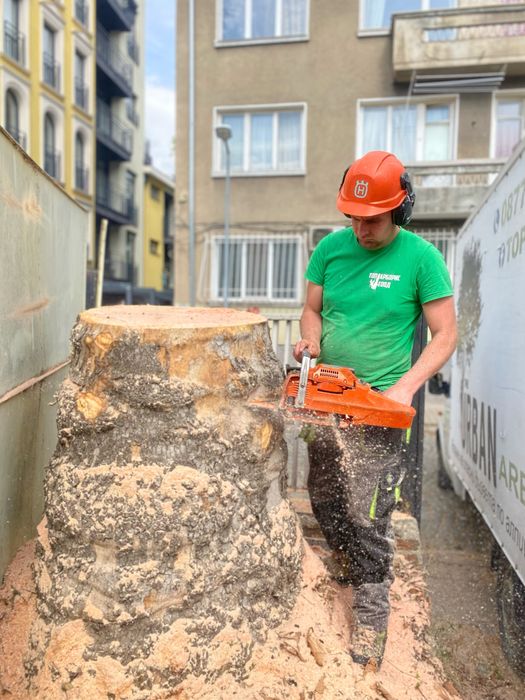 Почистване на къщи/терени и дворове