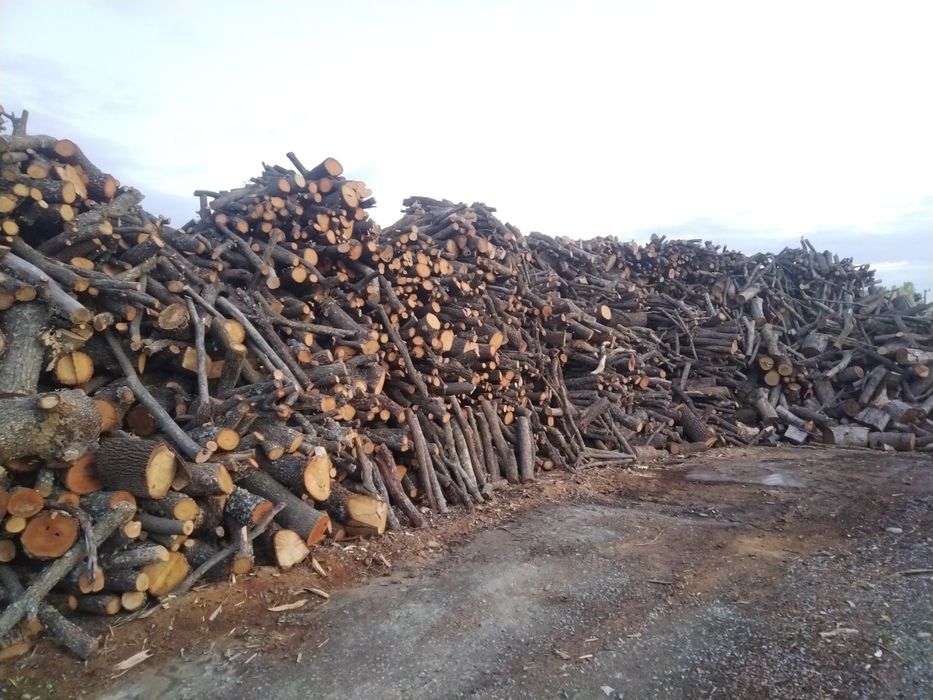 Дърва за огрев с. Хрищени обл. Стара Загора