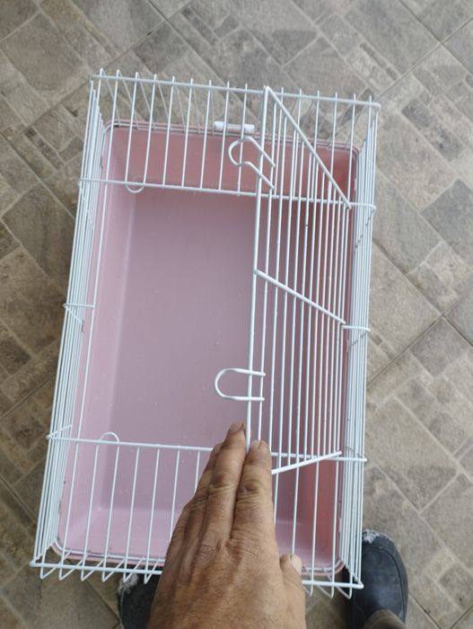 Кафас куёнлар учун