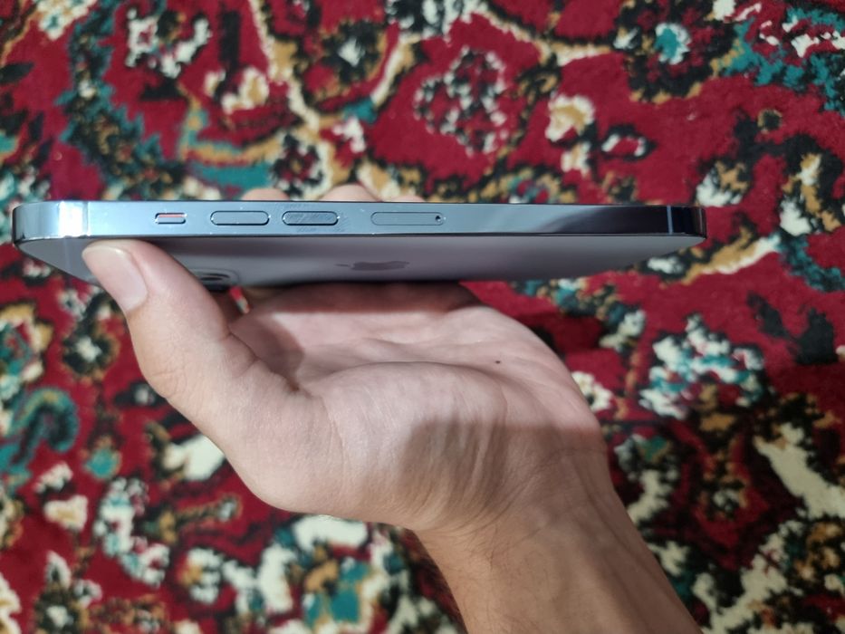 Iphone 13 Pro Max 256gb