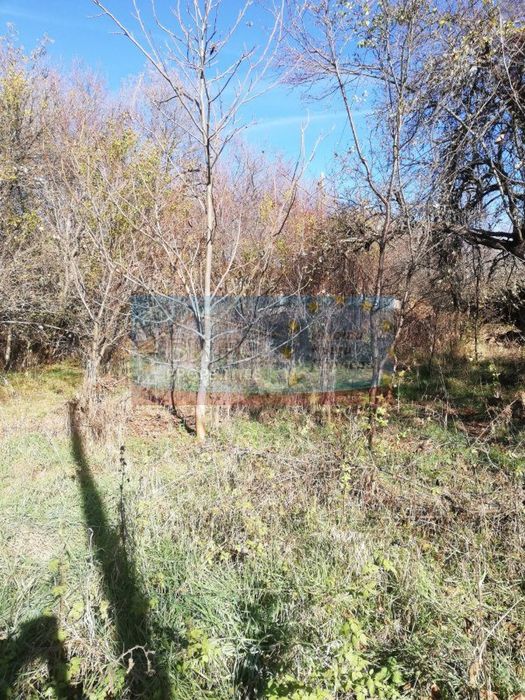 Парцел - 840 м2 в с. Кошарево