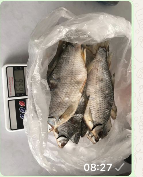 Продам вяленую рыбу