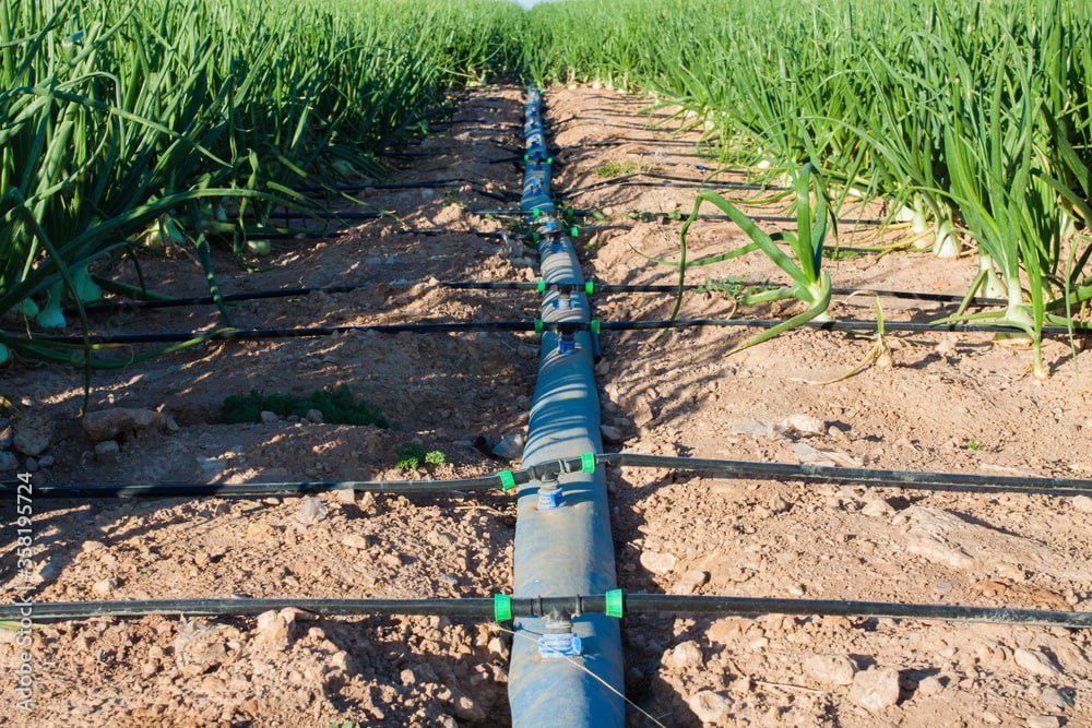 Tomchilab sugʻorish sistemasi (maxsulotlari )