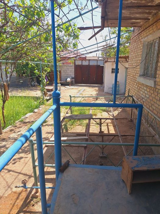 Зарафшон ОАЗИСда ховли