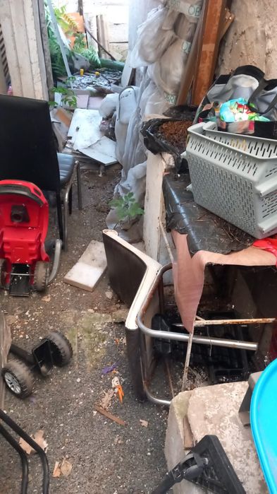 Car moloz și execut debarasari