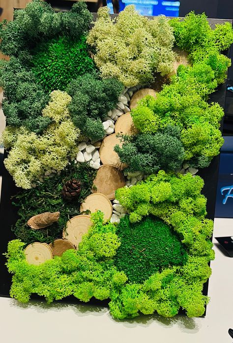 Tablou realizat din licheni naturali stabilizați și mușchi