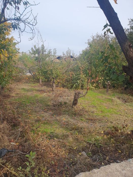 Продаётся участок 6 соток в Янгибазаре