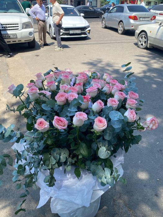 Роза 51 штук большые
