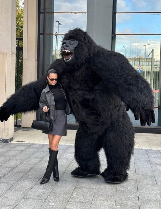 Горилла, Панда, Белый мишка , Тедди, Лабубу