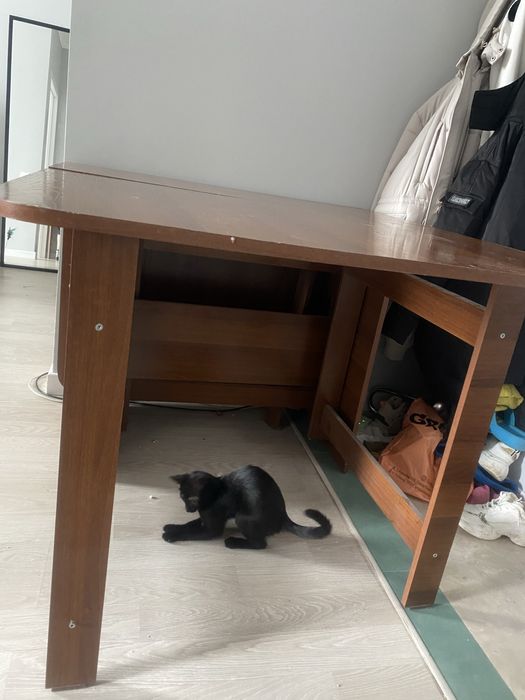 Стол книжка (самовывоз)