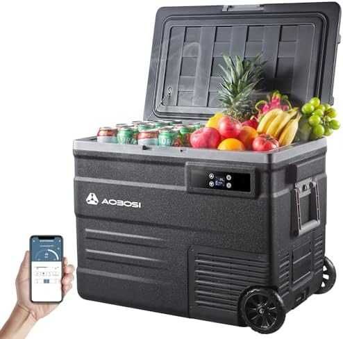 AAOBOSI 55L компресорен хладилник WiFi -20°C