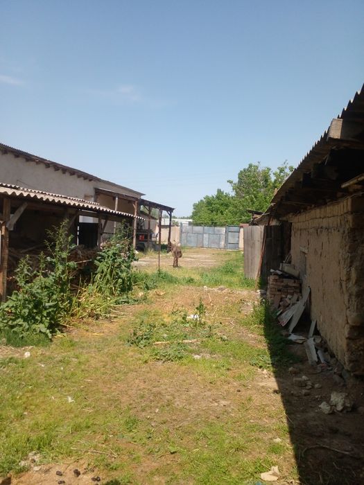 Уй сотилади срочно Ташкент вилояти, Бука тумани Бустон мфй  Марказий к