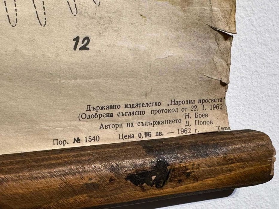 Соц Учебни Плакати Постери Ботаника
