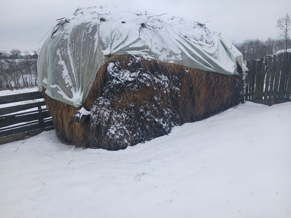 Stog de lucernă de vânzare !