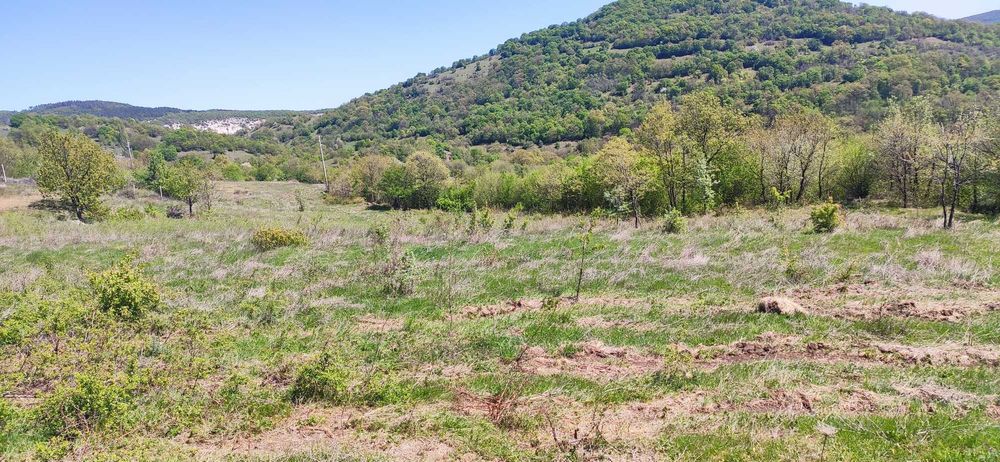 Продава се Земеделски имот в с. Соколяне, Област Кърджали -  кв.м за 510 €/дка - Снимка #6