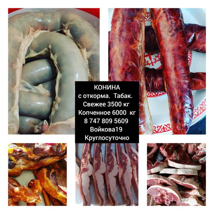 Мясо свежее конина