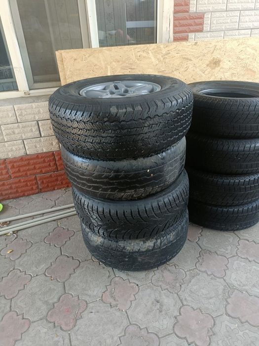 Продам шины зимные