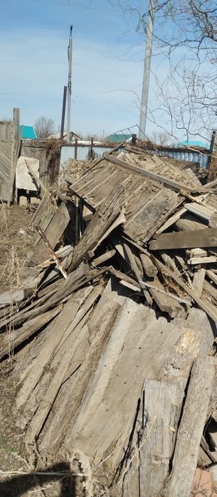 Отдам дрова бесплатно