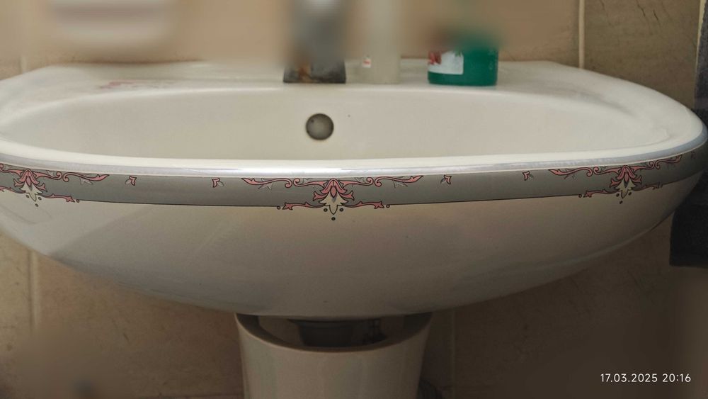 Раковина тюльпан