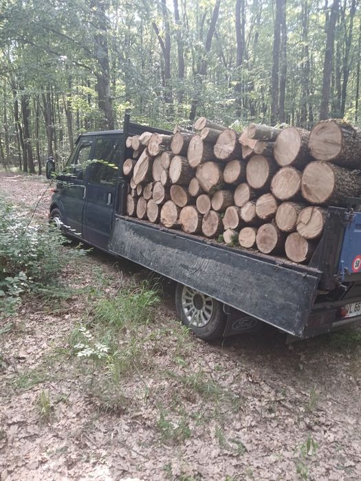 Lemn de foc fag fasonate la cererea clientului