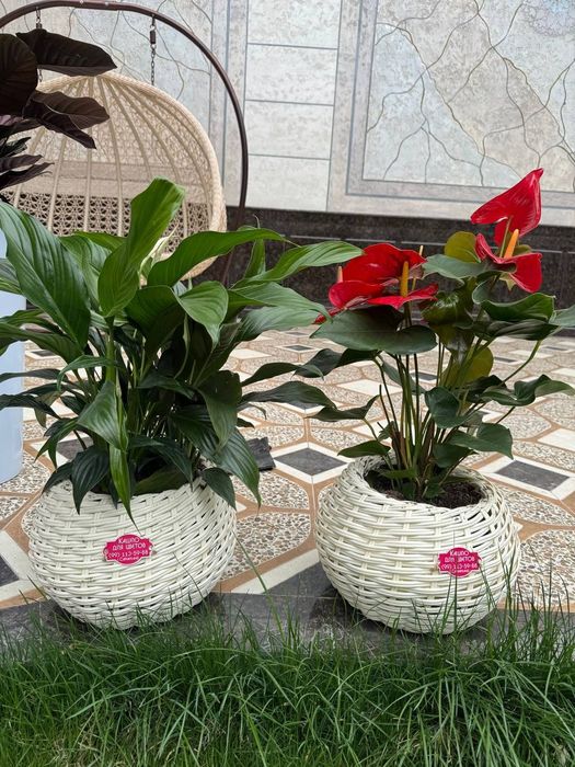 Rotandgan to'qilgan tuvak