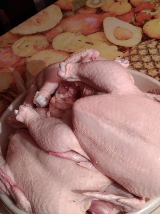 Мясо Домашнего бролера