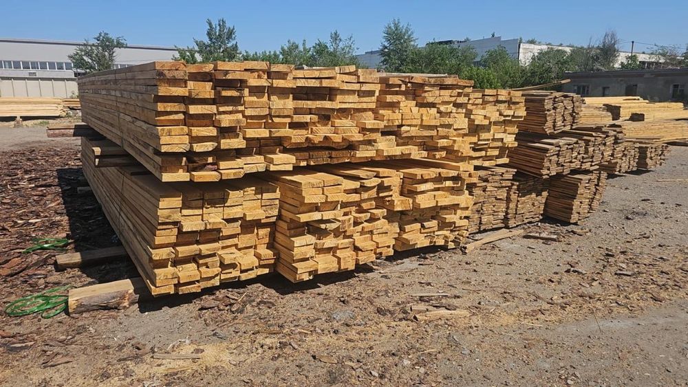 Лес Семейский горельник