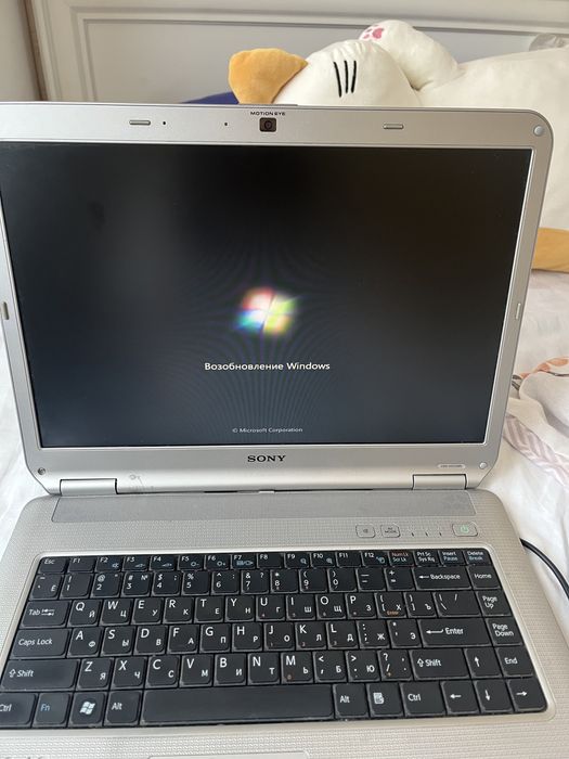 ноутбук от sony